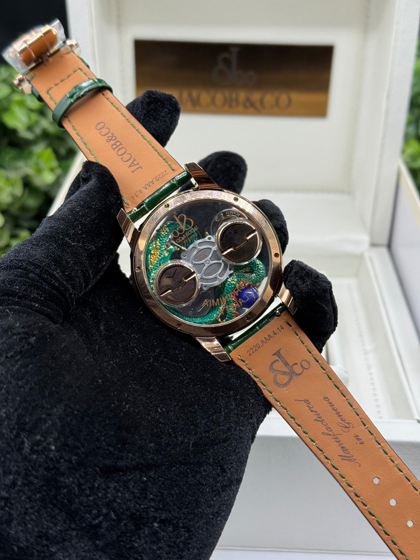 Jacob Dragon Edition