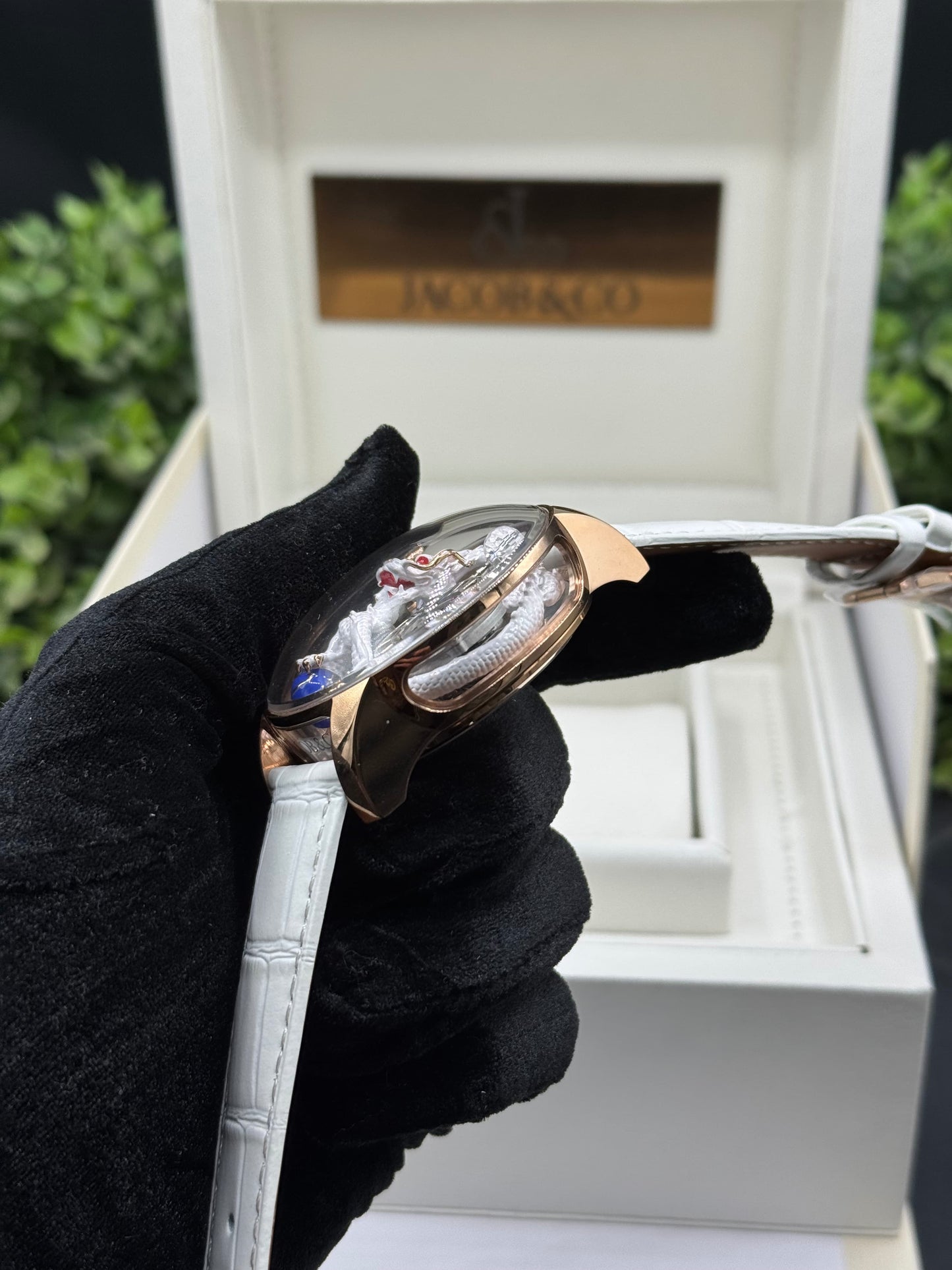 Jacob Dragon Edition